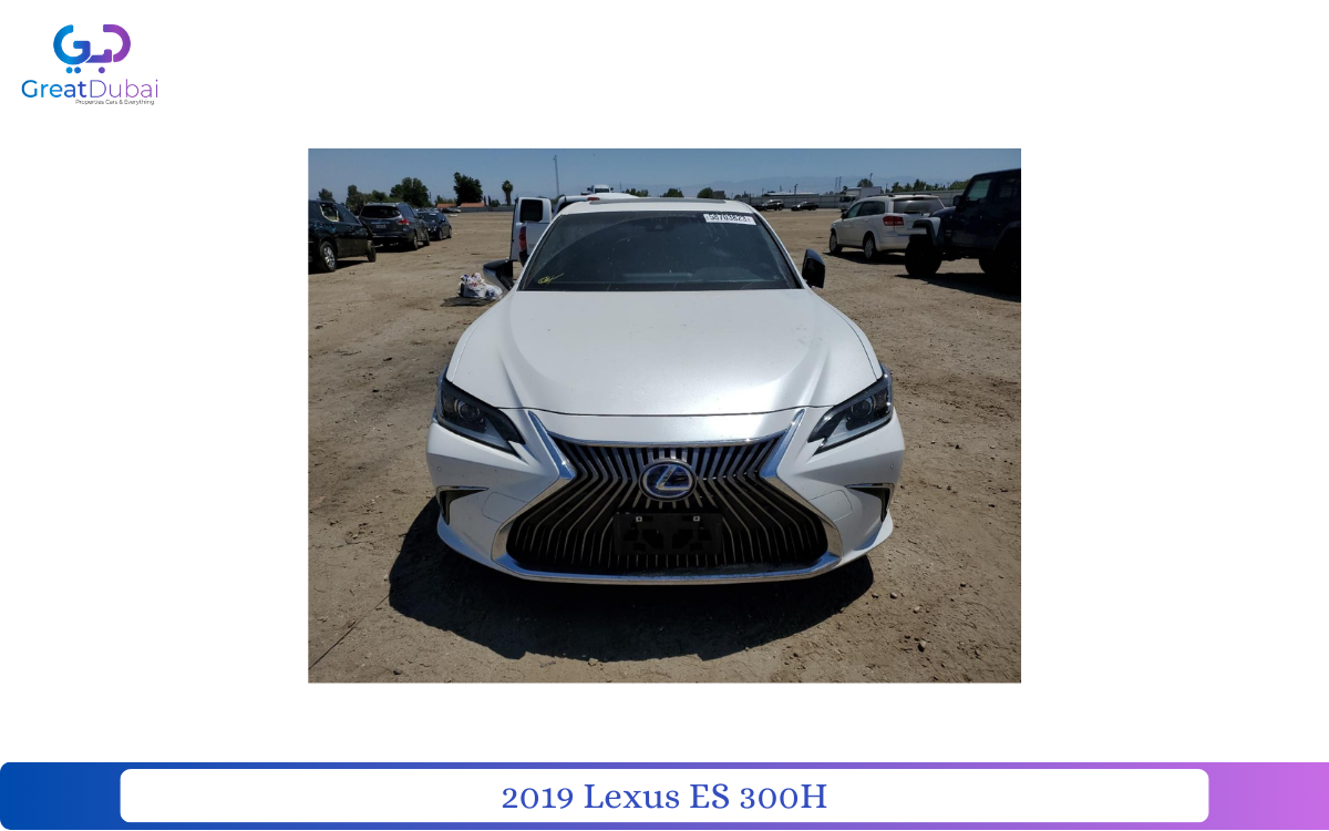 2019 Lexus ES 300H-pic_1