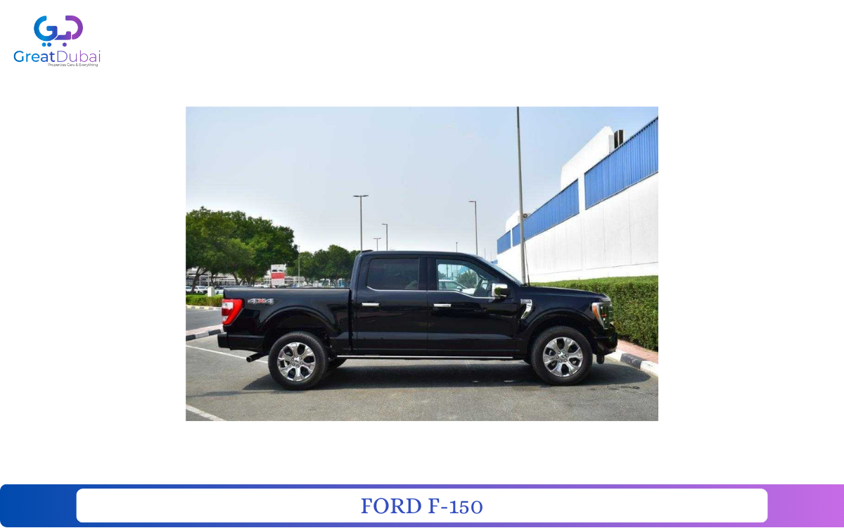 FORD F-150-image