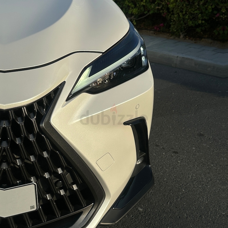 Lexus NX 350 Premier-pic_1
